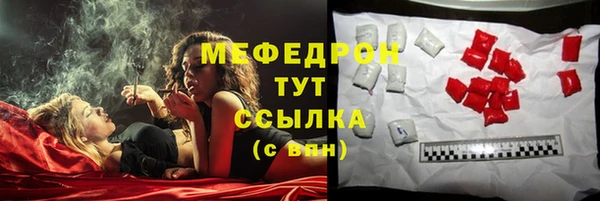 стаф Новокубанск