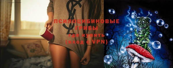 прущие крисы Новозыбков