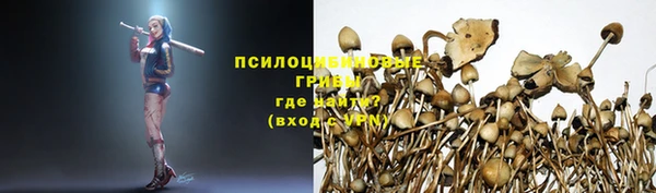 тгк Новодвинск