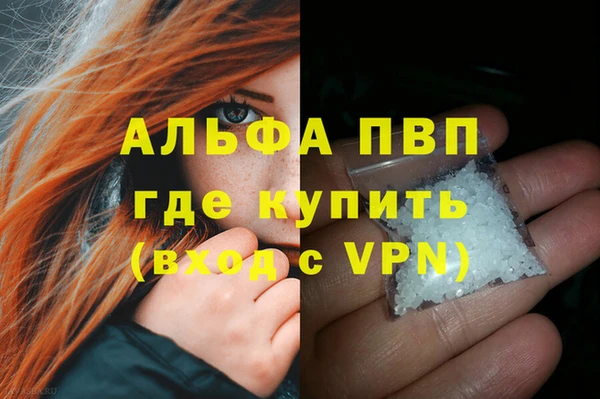 стаф Новокубанск