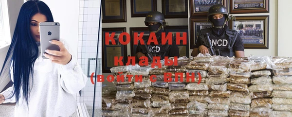 стаф Новокубанск