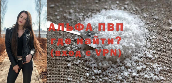 стаф Новокубанск