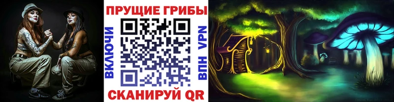 Купить закладки  Дедовск  Галлюциногенные грибы Psilocybine cubensis 